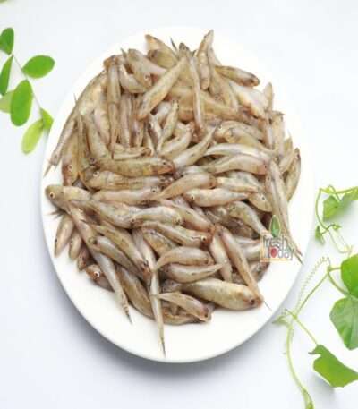Baila Small Fish 1Kg